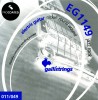 ������ GALLI STRINGS EG1149