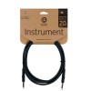   PLANET WAVES PW-CGT-20
