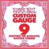  ERNIE BALL 1009