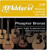 ������ D`ADDARIO EJ19