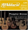  D`ADDARIO EJ19